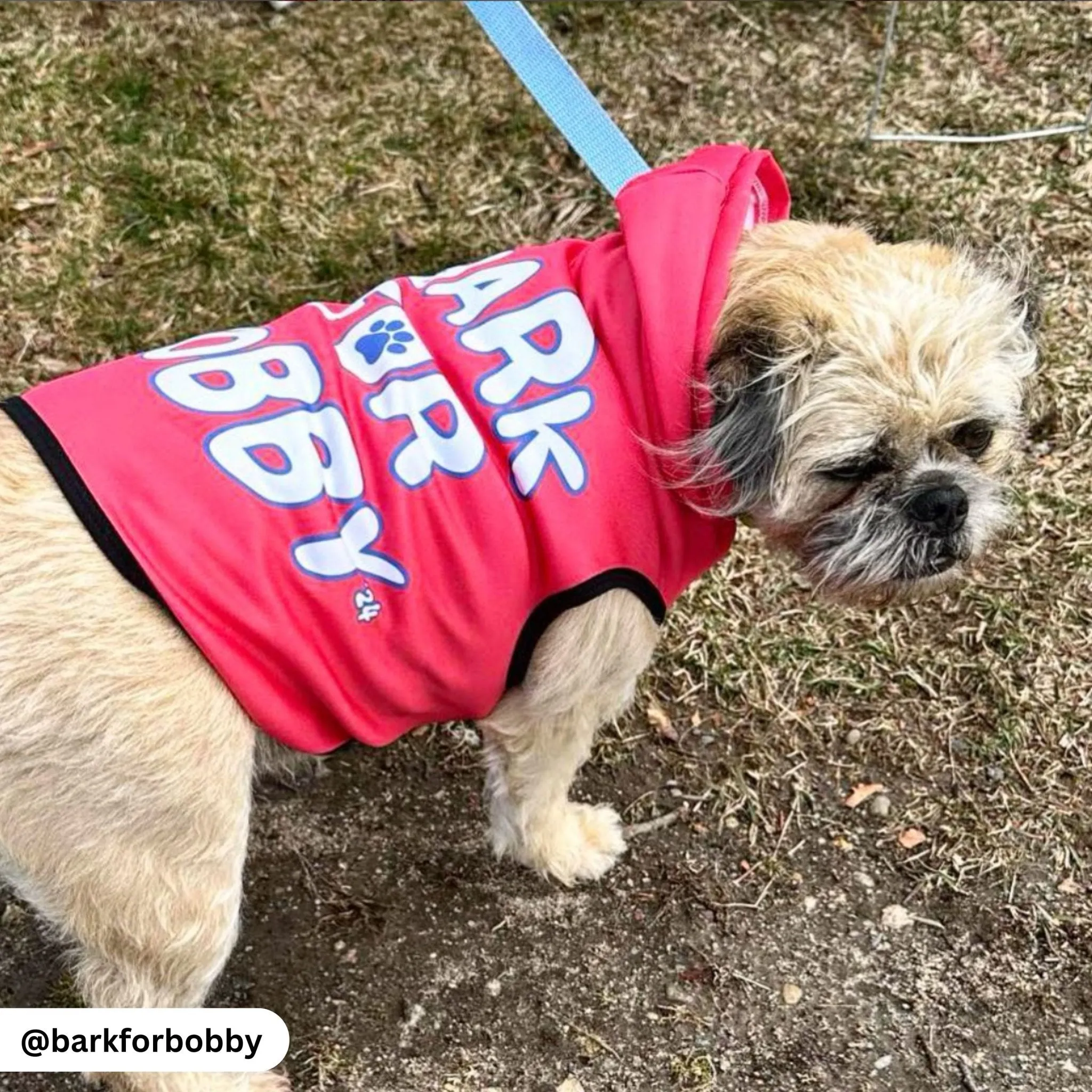 Bark for Bobby Pet Hoodie