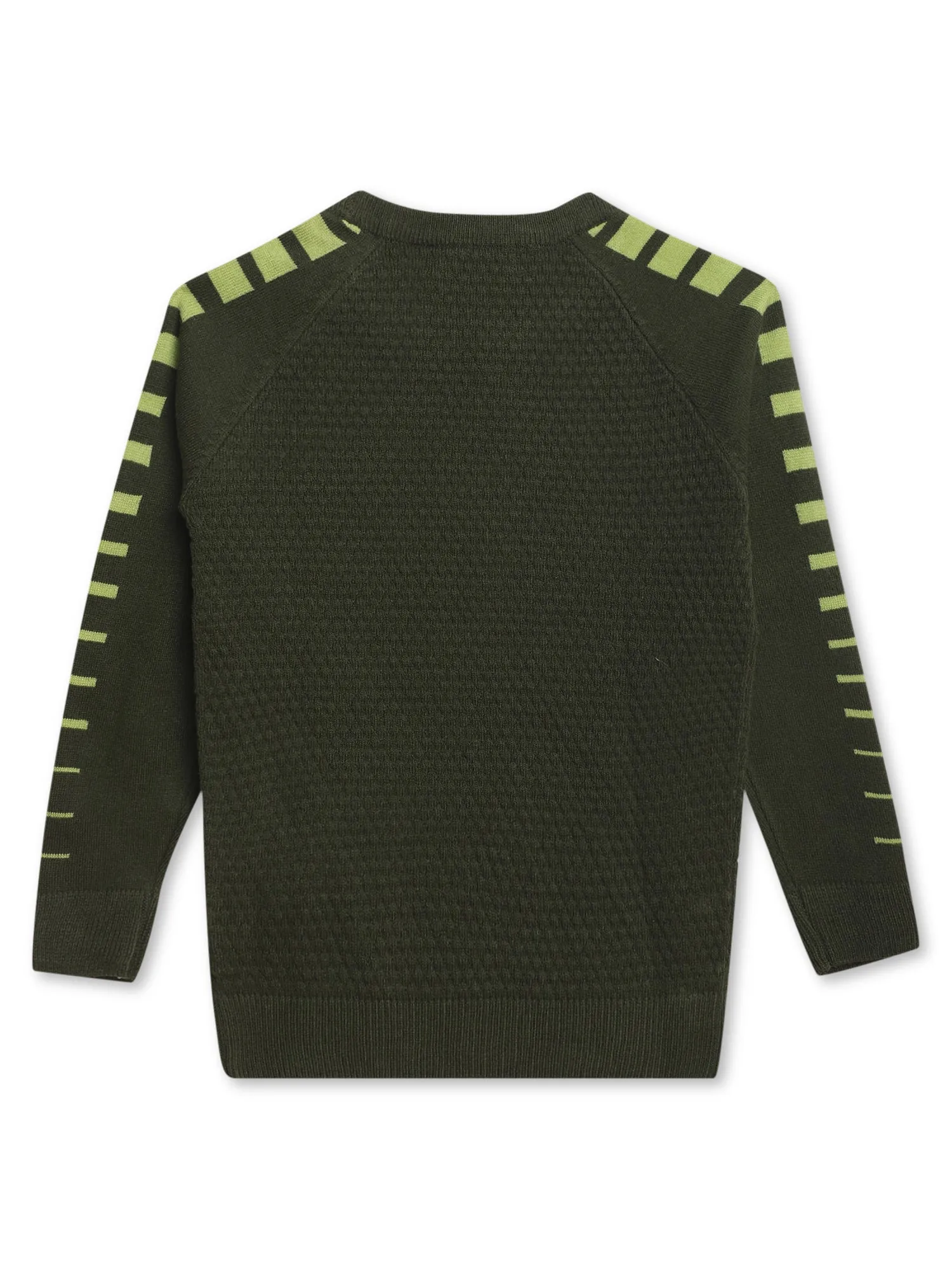 Cantabil Boys Olive Sweater