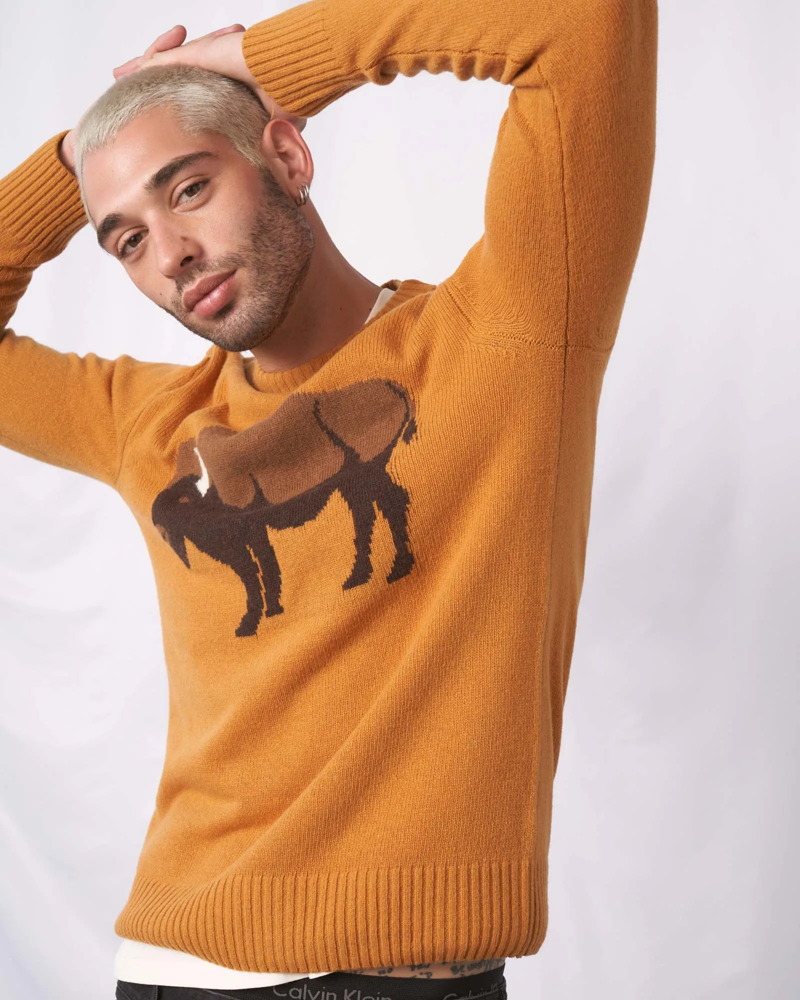 Recycled Bison Sweater